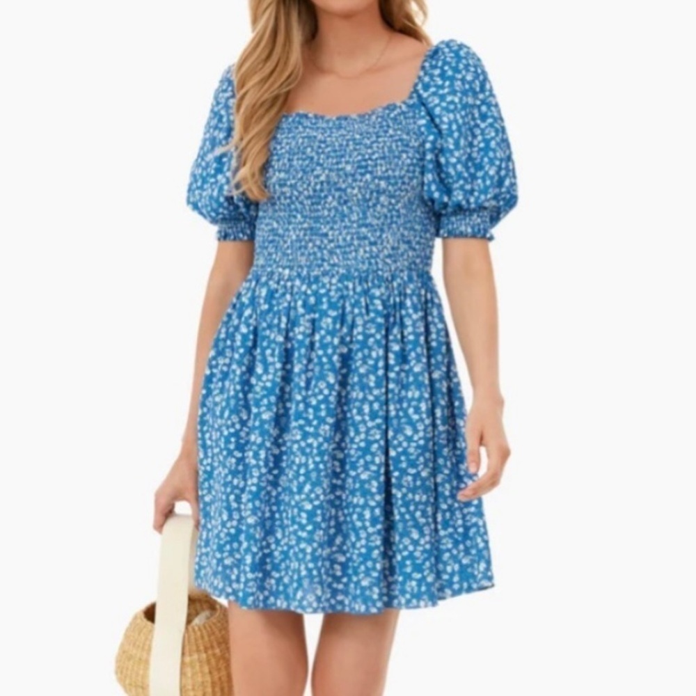 NEW Hyacinth House Floral Puff Sleeve Mini Dress Women’s S Blue Tuckernuck Party - Picture 2 of 16